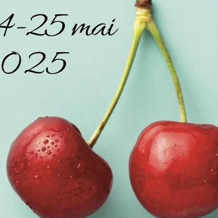 Hébergement de vacances El Paller Mas Vidalou Céret