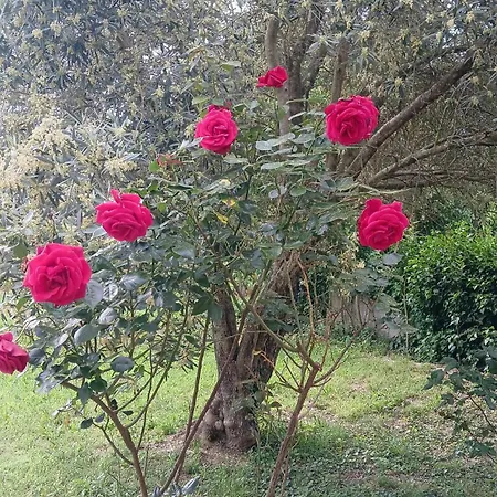 El Paller Mas Vidalou Hébergement de vacances
