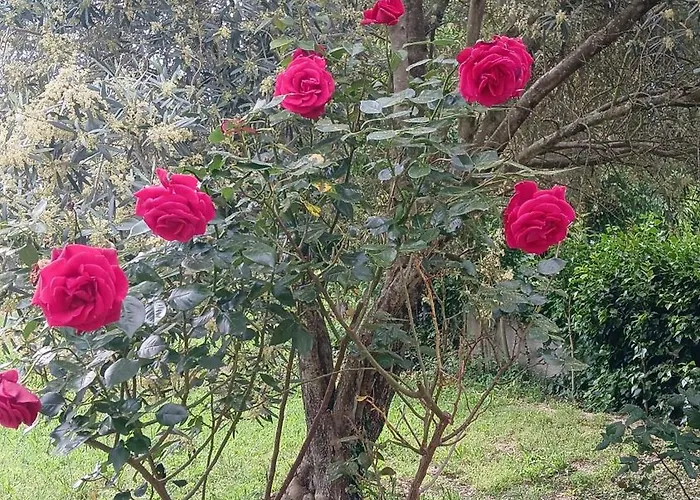 El Paller Mas Vidalou Semesterbostad