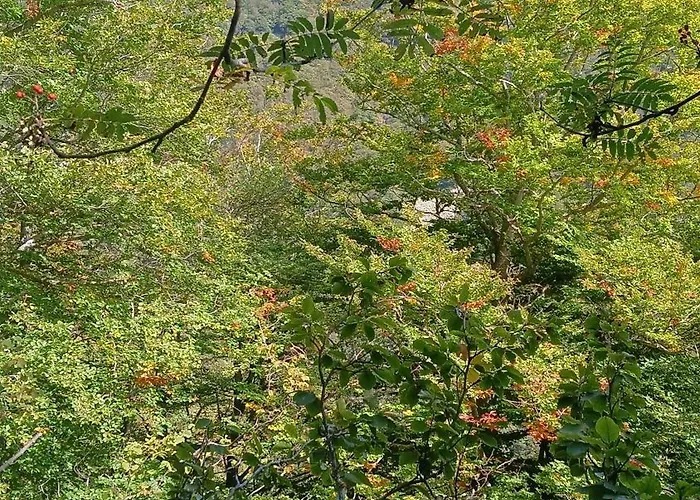 Semesterbostad El Paller Mas Vidalou *